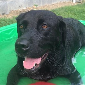 Meet your Posher, Reilly